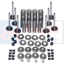 VALVE TRAIN KIT , Massey Ferguson, 200 - 298, Engine and components, Cylinder head, Valve kit, B3916, , VALVE TRAIN KIT , 30/39-16, B3916, , 2.75 kg