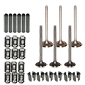 VALVE TRAIN KIT , Massey Ferguson, 100 - 135, Engine and components, Cylinder head, Valve kit