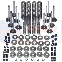 VALVE TRAIN KIT , Massey Ferguson, 6100 - 6180, Engine and components, Cylinder head, Valve kit, 4224162M91, U5VK0182, , VALVE TRAIN KIT , 30/39-42, 4224162M91, U5VK0182, , 0.00 kg