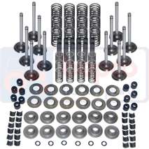 VALVE TRAIN KIT , Massey Ferguson, 3100 - 3140, Engine and components, Cylinder head, Valve kit, 4224164M91, U5VK0192, , VALVE TRAIN KIT , 30/39-43, 4224164M91, U5VK0192, , 0.00 kg