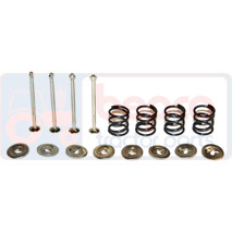 BRAKE PIN KIT , Massey Ferguson, 200 - 265, Brakes, Drum brake, Fixing , spring and lining-up, 1810029M91, 1850207M1, , BRAKE PIN KIT , 30/405-1, 1810029M91, 1850207M1, , 0.06 kg