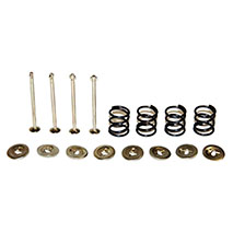 SHOE PIN KIT , 24/405-2, 1810029M91, 82019841, SP6001, , 0.00 kg