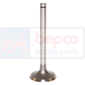 INLET VALVE         , Renault / Claas, 80 - 80-14SP