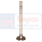 INLET VALVE , Massey Ferguson, TE20 - TEA20, Engine and components, Cylinder head, Intake valve