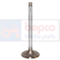 INLET VALVE         , Massey Ferguson,  - 40E