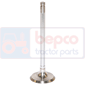 INLET VALVE , Deutz, Agrocompact 3 - Agrocompact 3.90S, Engine and components, Cylinder head, Intake valve