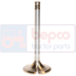 INLET VALVE , Renault / Claas, Engine and components, Cylinder head, Intake valve