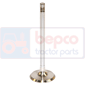 INLET VALVE , Deutz, Agrocompact 3 - Agrocompact 3.50S, Engine and components, Cylinder head, Intake valve