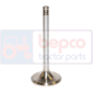 INLET VALVE , Fendt, Engine and components, Cylinder head, Intake valve