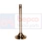 INLET VALVE , Fendt, Engine and components, Cylinder head, Intake valve