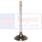 INLET VALVE , Massey Ferguson, 4200 - 4215, Engine and components, Cylinder head, Intake valve