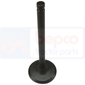 INLET VALVE , Massey Ferguson, 400 (Brasil - South Africa) - 410, Engine and components, Cylinder head, Intake valve