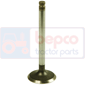 INLET VALVE         , Massey Ferguson, 600 (Brasil - South Africa) - 660