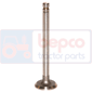 EXHAUST VALVE , Massey Ferguson, Engine and components, Cylinder head, Exhaust valve