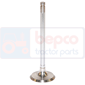 EXHAUST VALVE , Renault / Claas, 50 - 55-12LB, Engine and components, Cylinder head, Exhaust valve