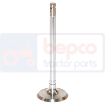 EXHAUST VALVE , Renault / Claas, 80 - 80-12V, Engine and components, Cylinder head, Exhaust valve, 6005000692, 6005014462, 6005029482, , EXHAUST VALVE , 28/43-115, 6005000692, 6005014462, 6005029482, , 0.00 kg