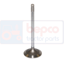 EXHAUST VALVE, Renault / Claas, Ares 800 - Ares 836, Dzinējs un tā sastāvdaļas, Cilindra galva, Izplūdes vārsti, 6005012916, , EXHAUST VALVE, 28/43-116, 6005012916, , 0.00 kg