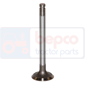 EXHAUST VALVE         , Landini, Rex FP/LP/GTP/GE - Rex 90GE