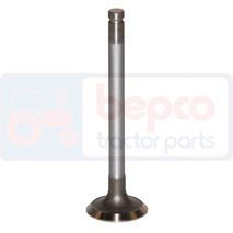 EXHAUST VALVE , Landini, Engine and components, Cylinder head, Exhaust valve, 7701031589, , EXHAUST VALVE , 28/43-117, 7701031589, , 0.00 kg