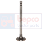 EXHAUST VALVE +0,076MM 0.003''-0.076mm, Ford,  - 4550, Engine and components, Cylinder head, Exhaust valve