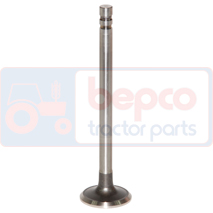 EXHAUST VALVE +0,076MM, Ford, Dzinējs un tā sastāvdaļas, Cilindra galva, Izplūdes vārsti, 81818723, C5NE6505B, C7NN6505B, C7NN6505F, , EXHAUST VALVE +0,076MM, 24/43-12A, 81818723, C5NE6505B, C7NN6505B, C7NN6505F, , 0.12 kg