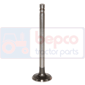 EXHAUST VALVE +0,381MM 0.015''-0.381mm, Ford,  - 4550, Engine and components, Cylinder head, Exhaust valve