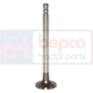 EXHAUST VALVE +0,381MM 0.030''-0.762mm        , Ford, Rice - 3150