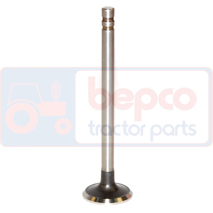 EXHAUST VALVE, Ford, Dzinējs un tā sastāvdaļas, Cilindra galva, Izplūdes vārsti, 81818709, 81843651, 87295253, C7NN6505E, D3NN6505A, , EXHAUST VALVE, 24/43-13, 81818709, 81843651, 87295253, C7NN6505E, D3NN6505A, , 0.12 kg