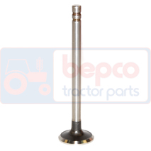 EXHAUST VALVE , Ford, Engine and components, Cylinder head, Exhaust valve, 81825866, 83909917, 83912598, C9NN6505E, D0NN6505A, D6NN6505A, D8NN6505AA, , EXHAUST VALVE , 24/43-14, 81825866, 83909917, 83912598, C9NN6505E, D0NN6505A, D6NN6505A, D8NN6505AA, , 0.13 kg