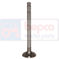 EXHAUST VALVE , Massey Ferguson, Engine and components, Cylinder head, Exhaust valve