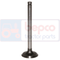 EXHAUST VALVE , Massey Ferguson,  - 788, Engine and components, Cylinder head, Exhaust valve