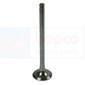 EXHAUST VALVE , Deutz, 05 - 5005, Engine and components, Cylinder head, Exhaust valve