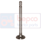 EXHAUST VALVE , Massey Ferguson, Engine and components, Cylinder head, Exhaust valve