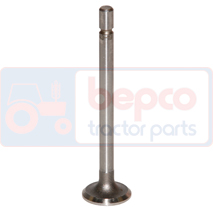 EXHAUST VALVE , Massey Ferguson, TE20 - TEA20, Engine and components, Cylinder head, Exhaust valve, 100652, , EXHAUST VALVE , 30/43-19, 100652, , 0.06 kg