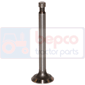 EXHAUST VALVE , Massey Ferguson, Engine and components, Cylinder head, Exhaust valve