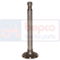 EXHAUST VALVE , Massey Ferguson, 35 - 35, Engine and components, Cylinder head, Exhaust valve