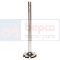 EXHAUST VALVE , Case-IH, BD - 238, Engine and components, Cylinder head, Exhaust valve, 3043825R1, , EXHAUST VALVE , 25/43-21, 3043825R1, , 0.09 kg