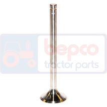 EXHAUST VALVE , Landini, Advantage - 75LP, Engine and components, Cylinder head, Exhaust valve, 3118132R1, , EXHAUST VALVE , 25/43-22, 3118132R1, , 0.00 kg