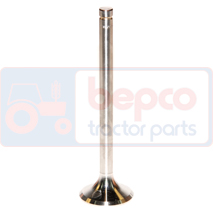 EXHAUST VALVE +0,076MM 0.003''-0.076mm, Landini, Advantage - 75LP, Engine and components, Cylinder head, Exhaust valve, , EXHAUST VALVE +0,076MM 0.003''-0.076mm, 25/43-22A, , 0.00 kg