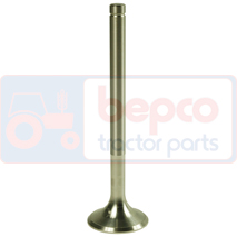 EXHAUST VALVE , Case-IH, Engine and components, Cylinder head, Exhaust valve, 3055056R2, , EXHAUST VALVE , 25/43-23, 3055056R2, , 0.16 kg