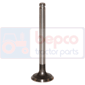 EXHAUST VALVE , Massey Ferguson, 100 - 152F, Engine and components, Cylinder head, Exhaust valve