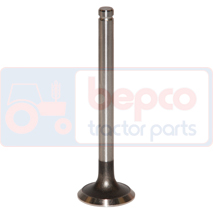 EXHAUST VALVE , Massey Ferguson, 300 - 354GE, Engine and components, Cylinder head, Exhaust valve, 31431031, 3637616M1, , EXHAUST VALVE , 30/43-24, 31431031, 3637616M1, , 0.10 kg