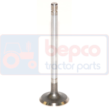 EXHAUST VALVE , New Holland, TDD - TD60DPlus, Engine and components, Cylinder head, Exhaust valve, 4601298, 4618867, 4621484, 4673608, , EXHAUST VALVE , 23/43-253, 4601298, 4618867, 4621484, 4673608, , 0.09 kg