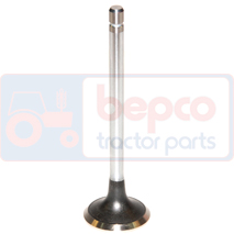 EXHAUST VALVE , Fiat, 90 - 60-90, Engine and components, Cylinder head, Exhaust valve, 153634222, 1908410, 4770456, 4784889, 4806717, 500300597, 82982115, 99432717, , EXHAUST VALVE , 23/43-254, 153634222, 1908410, 4770456, 4784889, 4806717, 500300597, 82982115, 99432717, , 0.11 kg