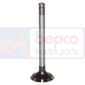 EXHAUST VALVE , Massey Ferguson,  - 530S, Engine and components, Cylinder head, Exhaust valve