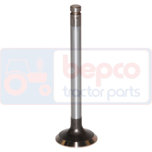 EXHAUST VALVE , Massey Ferguson, 3000 - 3095, Engine and components, Cylinder head, Exhaust valve, 3142A051, 31431752, 31431951, 31431961, 745369M1, 748309M1, , EXHAUST VALVE , 30/43-26, 3142A051, 31431752, 31431951, 31431961, 745369M1, 748309M1, , 0.10 kg