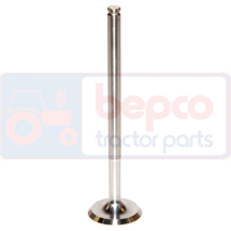 EXHAUST VALVE , Manitou, Engine and components, Cylinder head, Exhaust valve, 49004, , EXHAUST VALVE , 44/43-28, 49004, , 0.00 kg