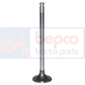 EXHAUST VALVE         , JCB, 520 - 520 (Leyland)