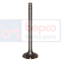 EXHAUST VALVE , Massey Ferguson,  - 205, Engine and components, Cylinder head, Exhaust valve, 31431941, 731152M1, 910002, , EXHAUST VALVE , 30/43-3, 31431941, 731152M1, 910002, , 0.07 kg