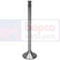 EXHAUST VALVE , Valmet, 05 - 205, Engine and components, Cylinder head, Exhaust valve